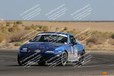 media/Oct-14-2023-Lucky Dog Racing (Sat) [[cef75db616]]/2nd Stint Turn 16/